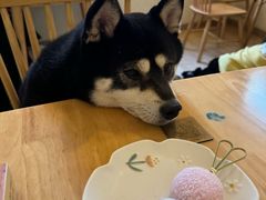 -柴の食堂·日式家庭料理·熊之肆(大学路店)