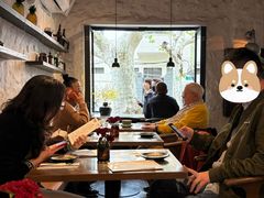 -Apollo·西班牙小酒馆(安福路店)