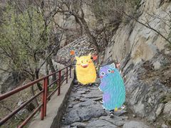-北京鹫峰国家森林公园