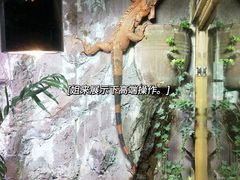 -上海大自然野生昆虫馆