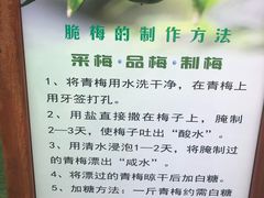 -香雪海