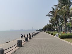 -深圳湾公园(南山区)