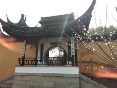 -司徒庙