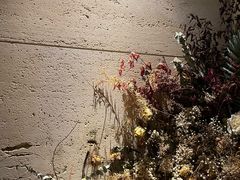 -villaa·别墅·融合菜西餐厅