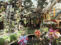 -正佳雨林生态植物园