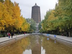 -玲珑塔公园