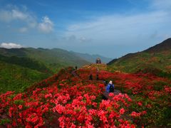 -大围山国家森林公园