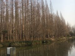 -上海怡沁园度假酒店
