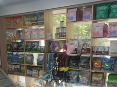 -天使宠物医院·犬猫分诊(彩虹店)