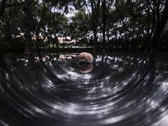 -望湖公园