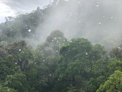 -热带雨林自然公园