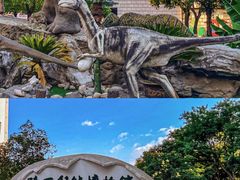 -陕西自然博物馆