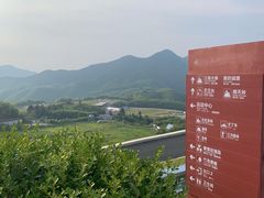 -江南天池