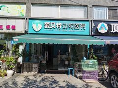 -爱贝特动物医院·猫口炎专科