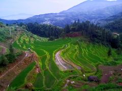 -紫鹊界梯田景区