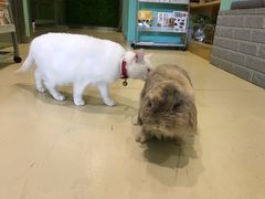 -雨林宠物医院 非犬猫异宠专科