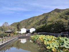 -荷塘味道(水长城店)