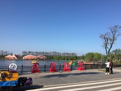 -上海长兴岛郊野公园