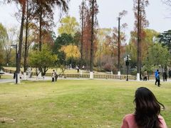 -习家池