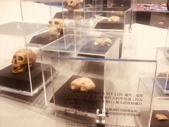 -北京周口店北京人遗址博物馆
