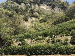 -藏龙百瀑风景区