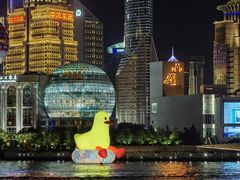 -黄浦江游览(十六铺码头)