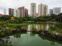 -四海公园(南山区)
