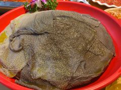 -二荆条·蜀鲜汇城市森林火锅