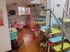 -三花喵·撸猫购宠·宠物生活馆(虹桥南丰城店)