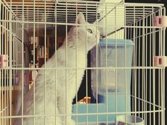-熊猫邮局(少城店)