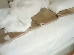 -昆明客家连锁酒店(塘子巷地铁站店)