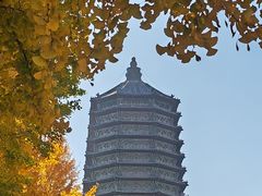 -玲珑塔公园