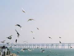 -星海广场