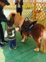 -萌宠亲子动物乐园(槐房万达店)