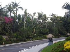 android_upload_pic-海南清水湾莱佛士酒店