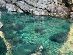 -石台牯牛降景区