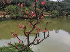 -南国桃园旅游度假区