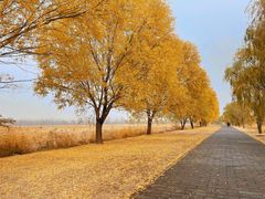 -野鸭湖国家湿地公园