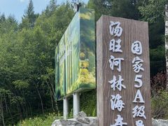 -汤旺河林海奇石景区