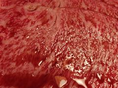 -焼肉矢澤 京都