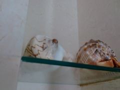 -三亚亚龙湾凯莱仙人掌度假酒店