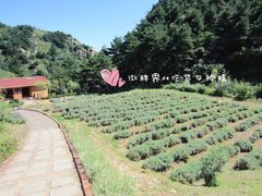 -云峰山自然风景区