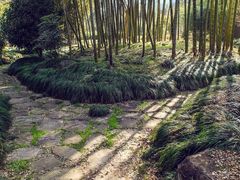 -黄公望隐居地