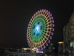 -琴岛之星摩天轮