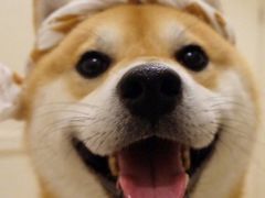 -阿水大杯茶(青岛大学店)