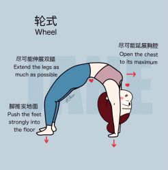 -兰瑜伽·普拉提