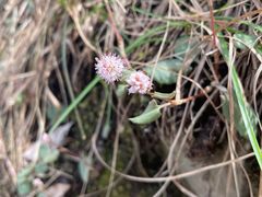 -终南山南五台景区