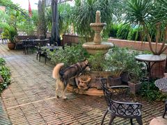 -more than meow吴止猫主题餐厅(承德 中船汇店)