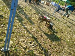 android_upload_pic-南戴河国际娱乐中心