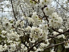 -贵阳市花溪国家城市湿地公园